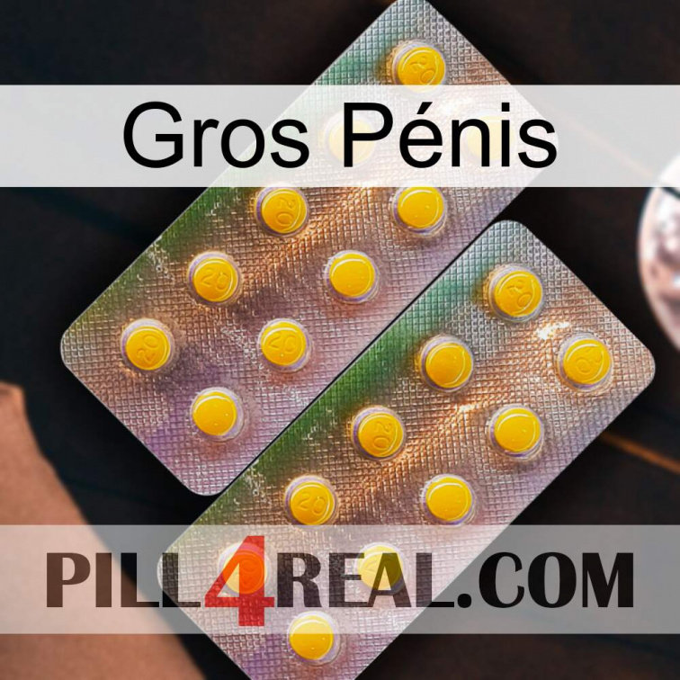 Gros Pénis new10